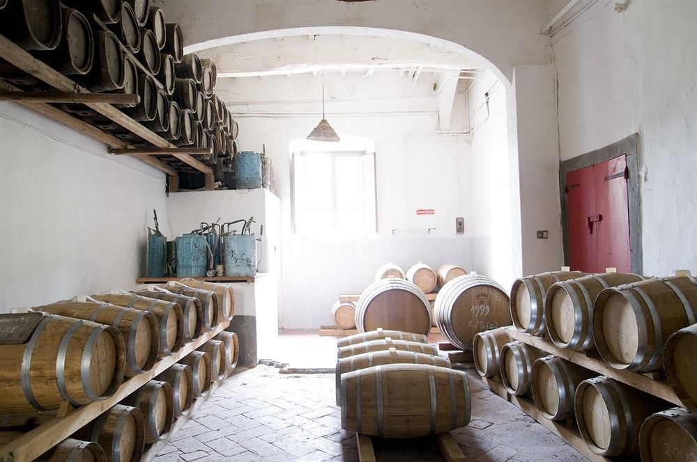 Fattoria Di Bacchereto - Guest House 외부 사진